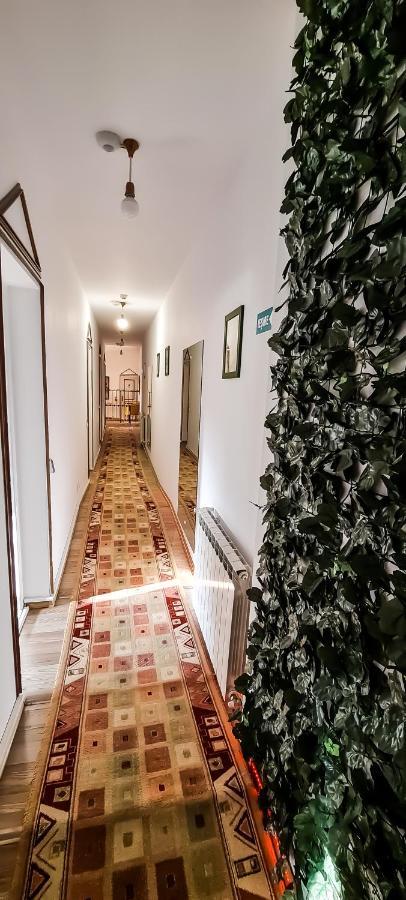 5 Stars High Hostel Bucharest